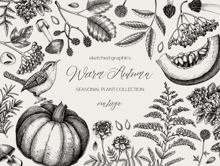 Vintage autumn frame design. Thanksgiving background. Fall leaves, pumpkins, berries, mushrooms sketches. Hand-drawn vector illustration. NOT AI generated